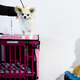 Image for article titled King’s realm: Behind the scenes at the Westminster Dog Show